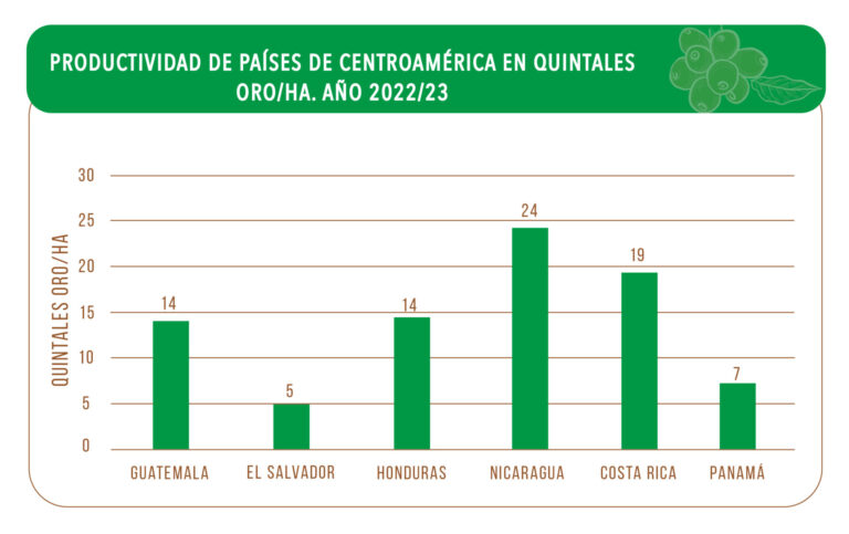 Graficas 04