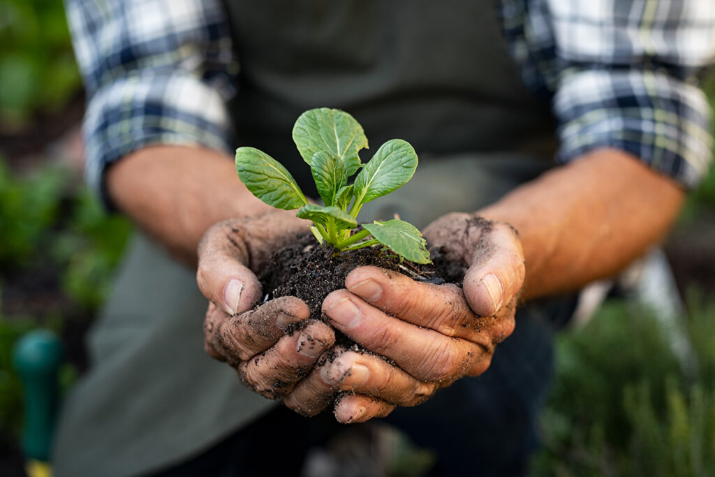 interaccion microbiana suelo agricultura regenerativa