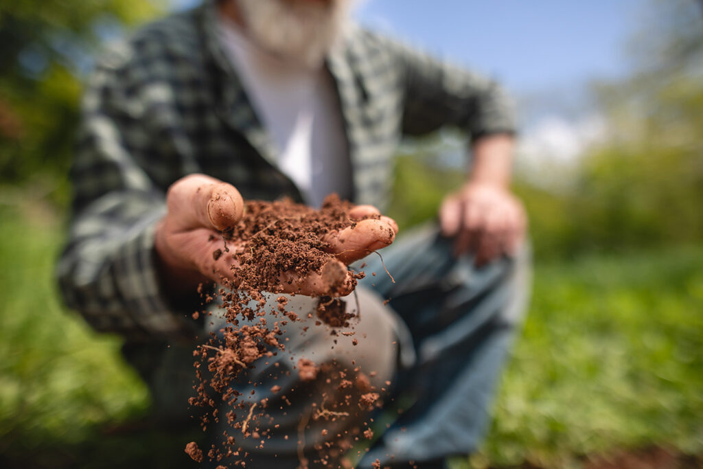 salud del suelo agricultura regenerativa